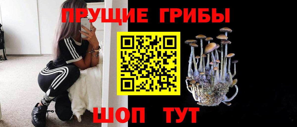 Когалым  Псилоцибиновые грибы мицелий  Вход с VPN  Галлюциногенные грибы ЛСД 